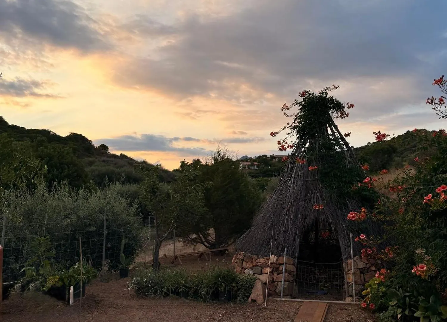 Casa Mimosa Villa Tertenìa